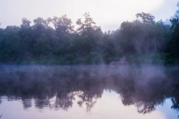 Purple Morning Fog Forest River Latvia — Stock Photo, Image