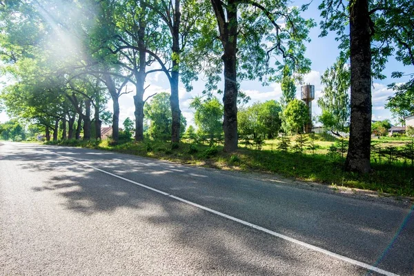 Una Vista Della Strada Asfaltata Campagna Attraverso Gli Alberi Verdi — Foto Stock