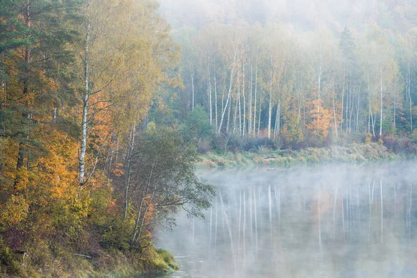 Ochtend Mist Gauja Rivier Bos Heldere Lucht Kleurrijke Bomen Sigulda — Stockfoto