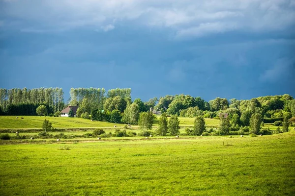 Widok Wieś Zielony Las Tle Łotwa — Zdjęcie stockowe