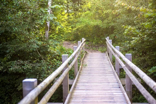 Pont Bois Dans Forêt Verte Paysage Automne Sigulda Lettonie — Photo