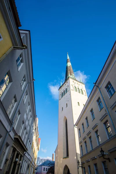 Zimowe Stare Miasto Tallinnie Estonia Pogodne Dni Kościół Olaf Zbliżenie — Zdjęcie stockowe