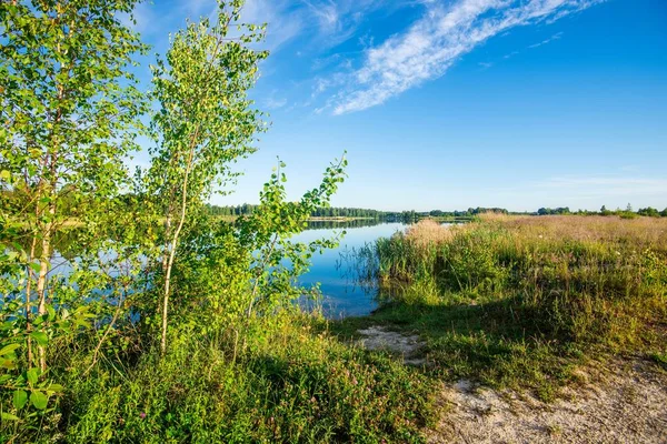 화창한 여름날 라트비아의 — 스톡 사진