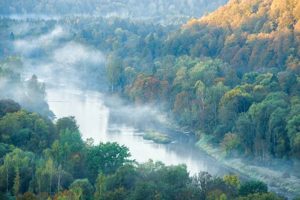 Gauja Nehri Ormanı Üzerinde Sabah Sisi Berrak Gökyüzü Renkli Ağaçlar — Stok fotoğraf