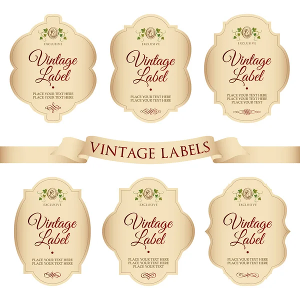 Vector Set Labels Vintage Style — Stock Vector