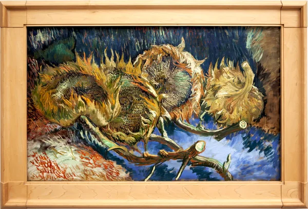 Vier Welkende Sonnenblumen Bild Von Van Gogh Das Krller Mller — Stockfoto