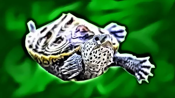 Digital art painting illustration of western painted turtle with green watery background.