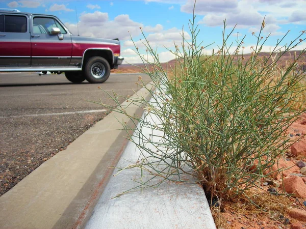 Park yeri ve kırmızı ve gri banliyö yanında yeşil weeds ve çimento kaldırım. 