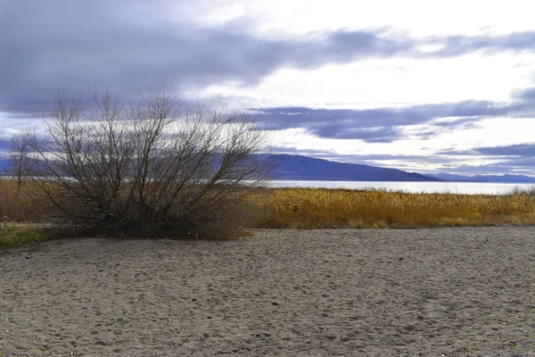 Uzak bir dağ ve göl ile kumlu bir plaj arkasında otlar ve sarı sazlık ve çim.
