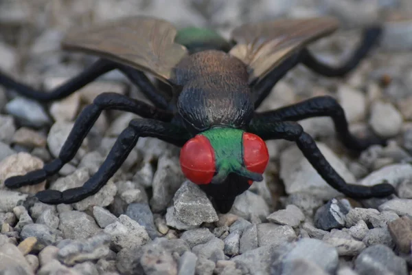 Ürkütücü oyuncak böcekler kırmızı gözlü uçar..