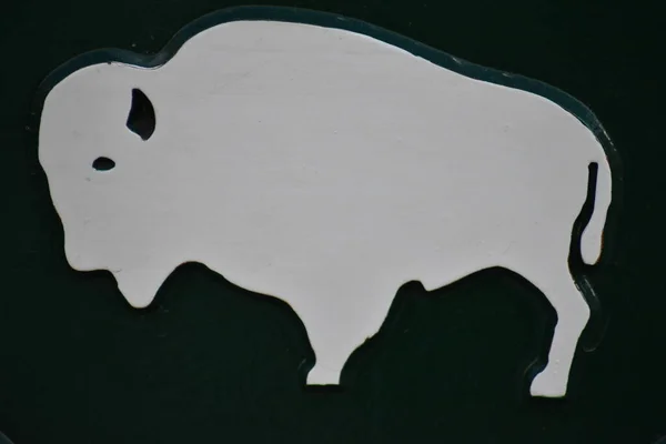 水牛のバイソンは周りの緑と白に署名します — ストック写真