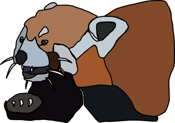 Vector Van Rode Panda Dier Buste — Stockvector