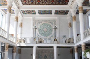 Dushanbe, Tacikistan 'da gün batımında yapayalnız ağaç