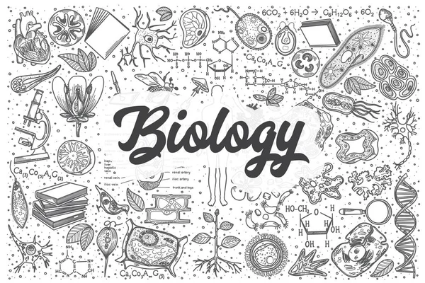 Χέρι συρμένο βιολογία διάνυσμα doodle σετ. — Διανυσματικό Αρχείο