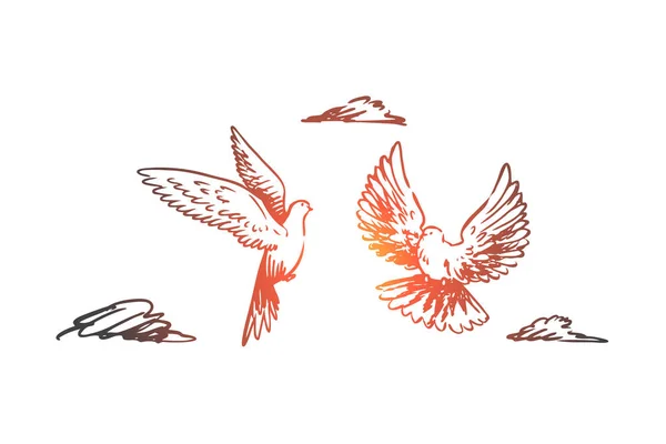 Wolności, pokoju, para, lot, koncepcja ptaków. Ręcznie rysowane na białym tle wektor. — Wektor stockowy