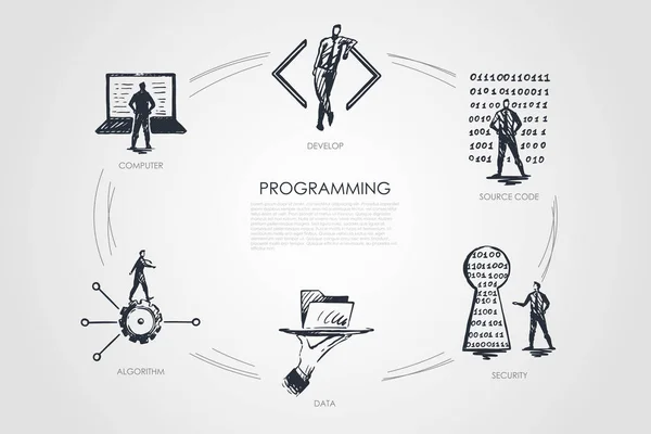 Programación, desarrollo, código fuente, seguridad, datos, algoritmo — Archivo Imágenes Vectoriales