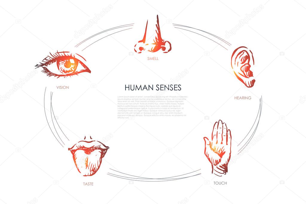 Human senses - vision, taste, touch, hearing, smell vector concept set