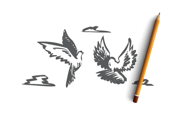 自由, 和平, 情侣, 飞行, 鸟类概念。手绘隔离矢量. — 图库矢量图片