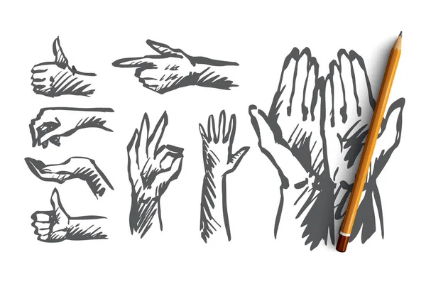 手, 手のひら, 人間, 指, ジェスチャの概念。手描き下ろし分離ベクトル. — ストックベクタ