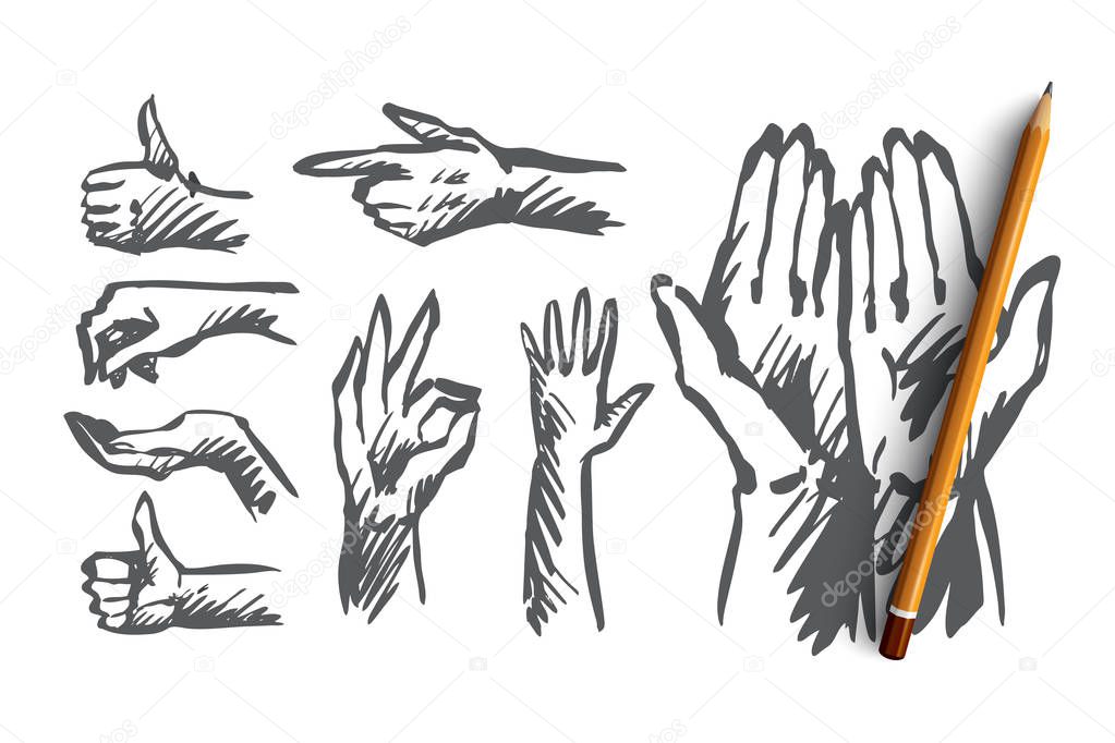 Hand, palm, human, finger, gesture concept. Hand drawn isolated vector.