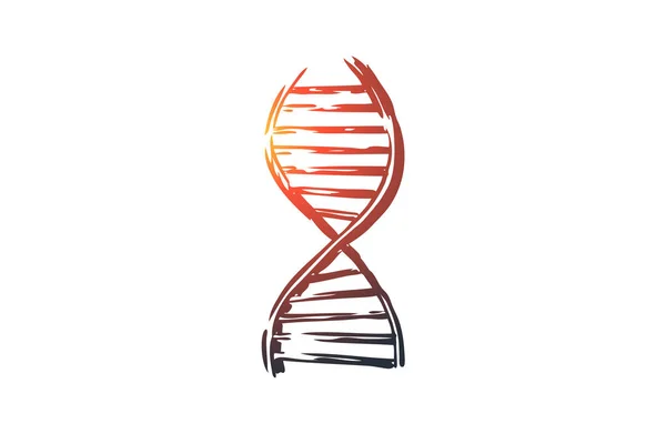 ดีเอ็นเอ ยา พันธุกรรม ชีววิทยา แนวคิดทางวิทยาศาสตร์ เวกเตอร์แยกที่วาดด้วยมือ . — ภาพเวกเตอร์สต็อก