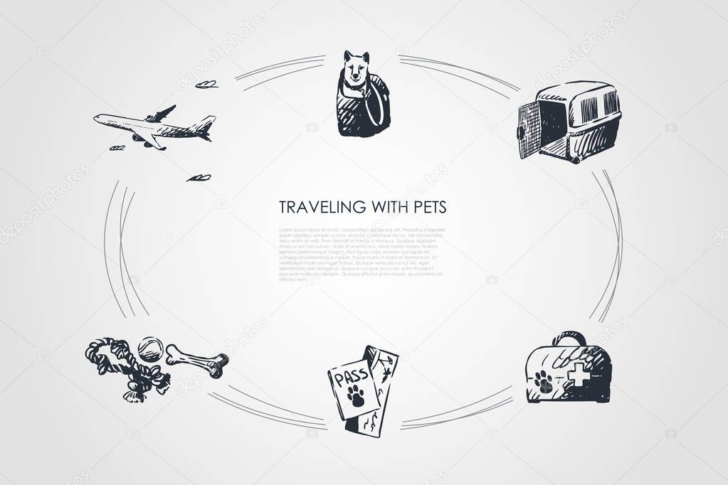 Traveling with pets - dog in bag, carrier, veterinary kit, pets ticket and toys vector concept set