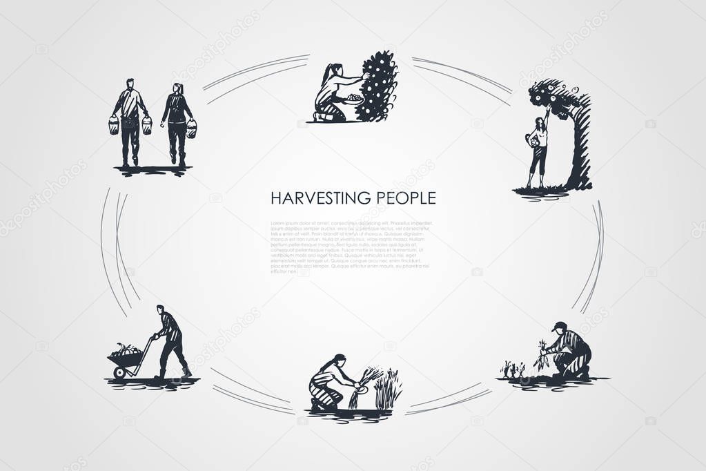 Harvesting people - people picking fruits and carrots, binding grass, carrying and transporting harvest vector concept set