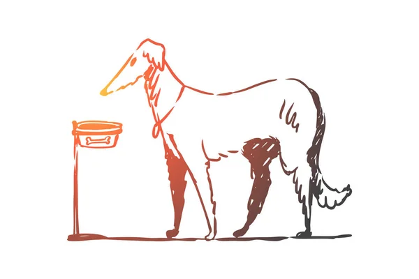 Cane, camminare, all'aperto, animale domestico, concetto domestico. vettore isolato disegnato a mano . — Vettoriale Stock