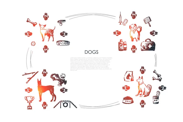 Perros - diferentes razas de perros con alimentos, huesos, collar, huellas, tazón, veterinario objetos vector concepto conjunto — Vector de stock