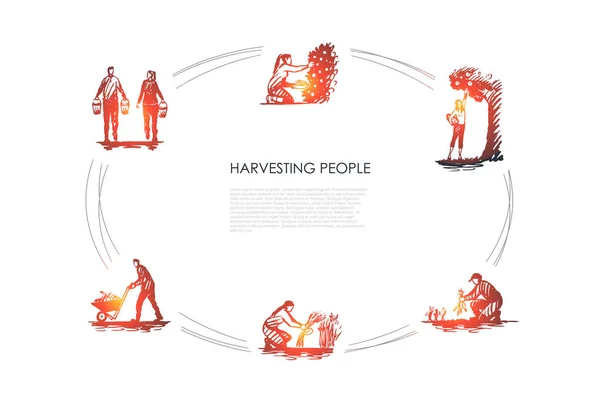 Cosechando personas - personas recogiendo frutas y zanahorias, hierba de encuadernación, llevando y transportando el concepto de vector de cosecha conjunto — Archivo Imágenes Vectoriales