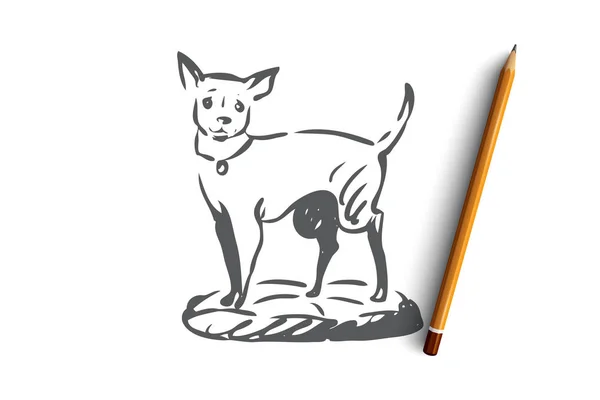Hund, Spaziergang, Outdoor, Haustier, häusliches Konzept. von Hand gezeichneter isolierter Vektor. — Stockvektor