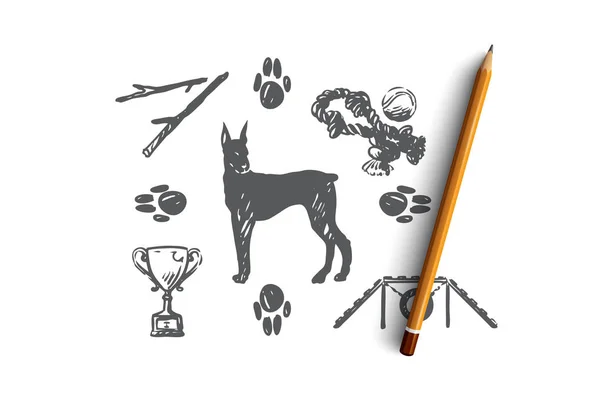 Perro, mascota, animal, accesorios, concepto de cuidado. Vector aislado dibujado a mano . — Vector de stock