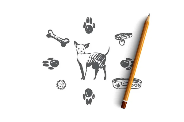 Hund, Haustier, Tier, Zubehör, Pflegekonzept. von Hand gezeichneter isolierter Vektor. — Stockvektor