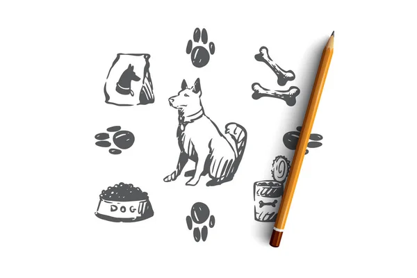 Perro, mascota, animal, accesorios, concepto de cuidado. Vector aislado dibujado a mano . — Vector de stock