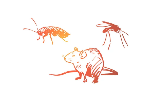 Plaga, control, cucaracha, insecto, concepto de insecto. Vector aislado dibujado a mano . — Vector de stock