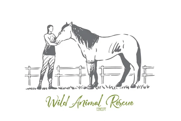 Animal, cavalo, saúde, prótese, conceito de ajuda. Vetor isolado desenhado à mão . — Vetor de Stock