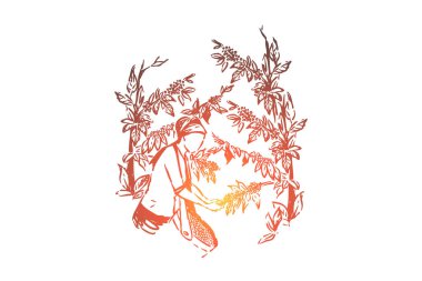 Doğal içecek yapma süreci, genç yüzsüz çiftçi kadın, sepette tahıl toplama plantasyon işçisi