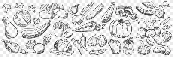 Χειροποίητα λαχανικά doodle set — Διανυσματικό Αρχείο