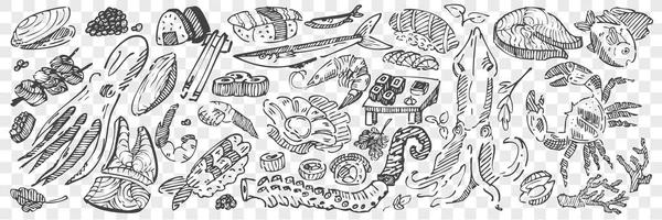 Ručně kreslené mořské jídlo sada čmáranice — Stockový vektor
