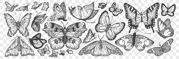 手描きの蝶の人形セット. — ストックベクタ