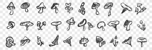 Ensemble de doodle aux champignons dessinés à la main — Image vectorielle