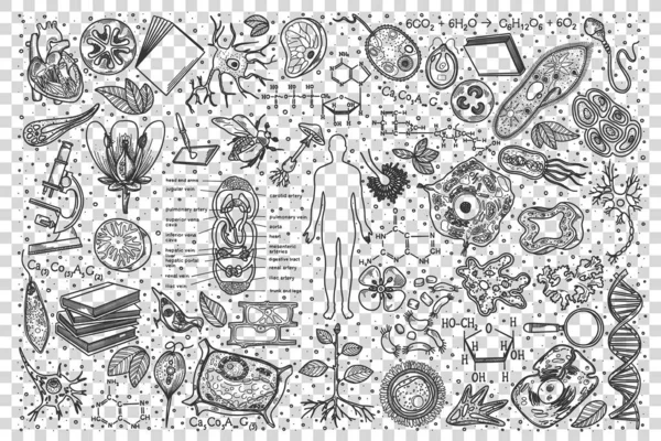 Set doodle biologi - Stok Vektor