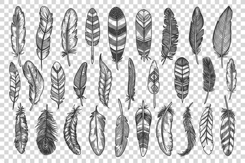 Feathers doodle set