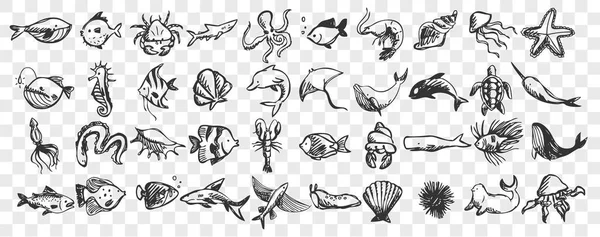 Набор каракулей морской жизни — стоковый вектор