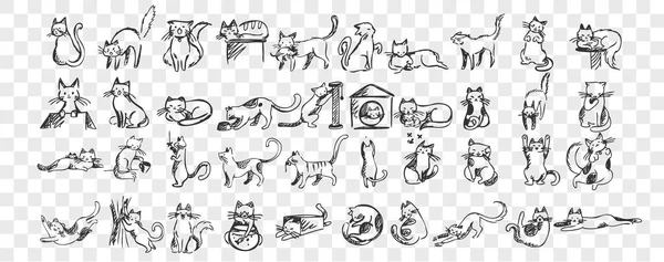 Katten doodle set — Stockvector