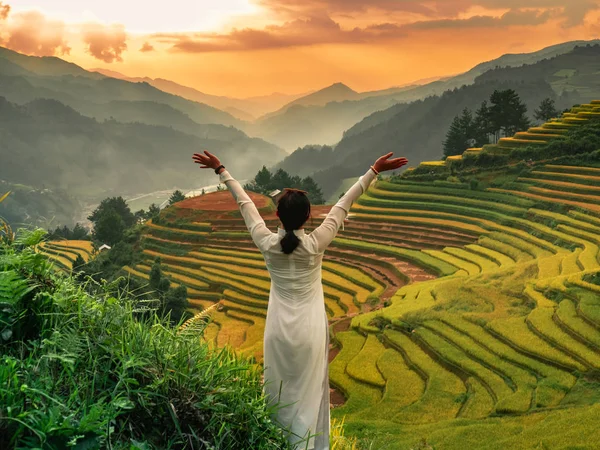 Woman in vietnamese traditional clothing at rice terraces