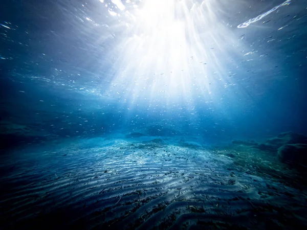 Underwater view of the seabed — Stock Photo, Image