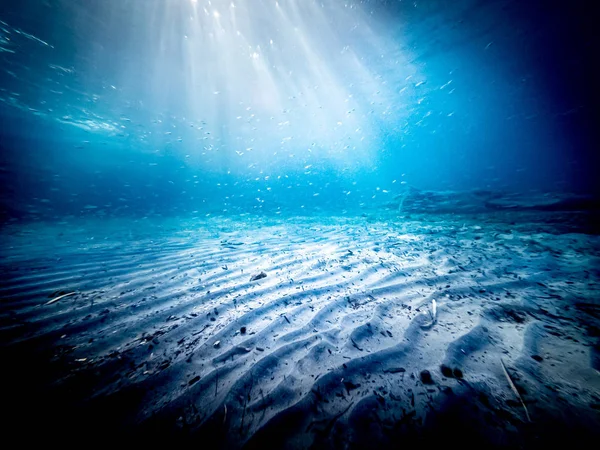 Vista subacquea del fondale marino — Foto Stock
