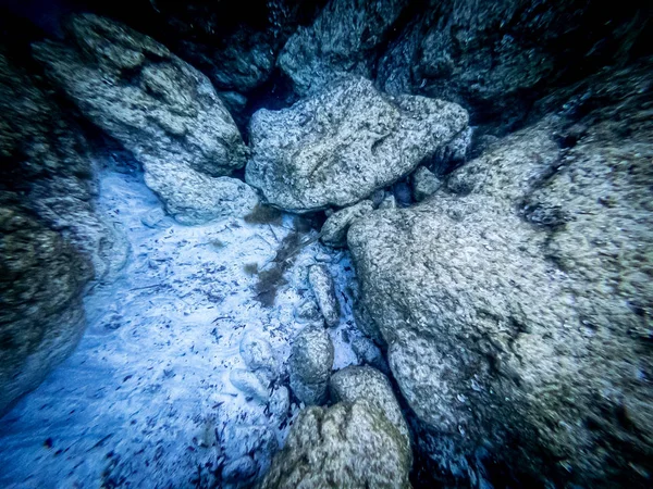 Vista submarina del fondo marino —  Fotos de Stock