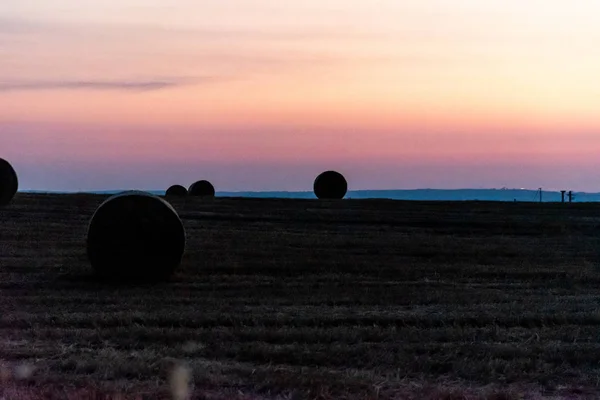 Восход солнца над полем из пшеницы с тюками — стоковое фото